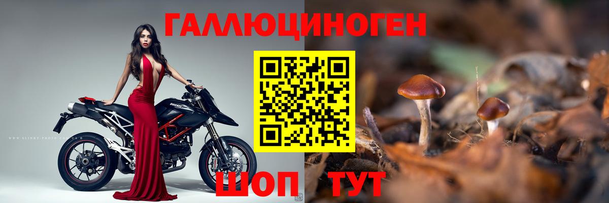 Галлюциногенные грибы Magic Shrooms Можга
