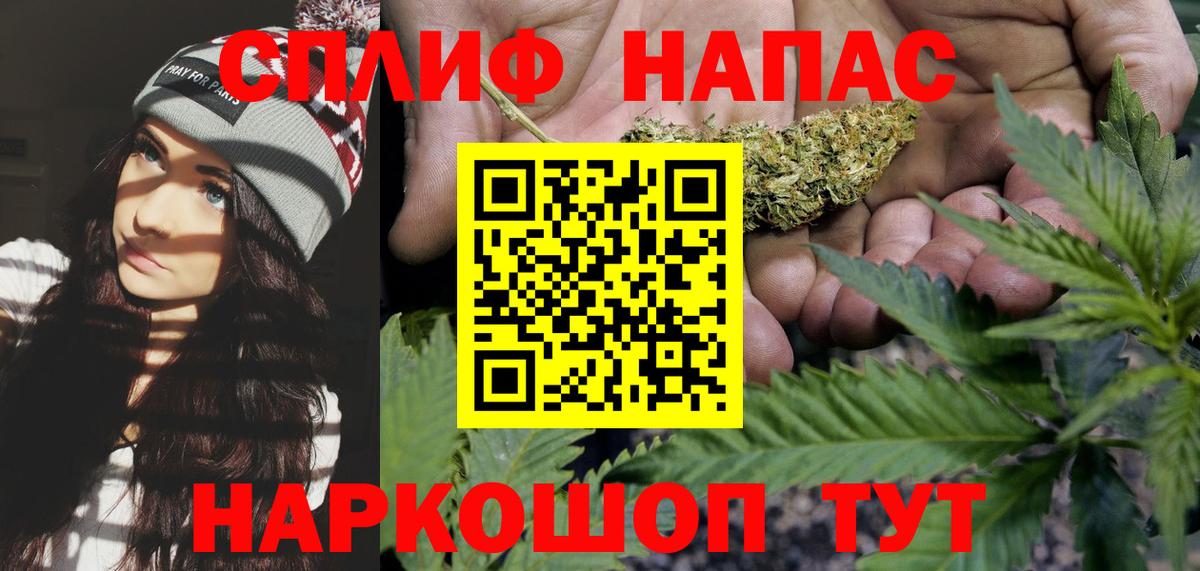 Можга  Каннабис план  Шишки марихуана индика  Вход с VPN 